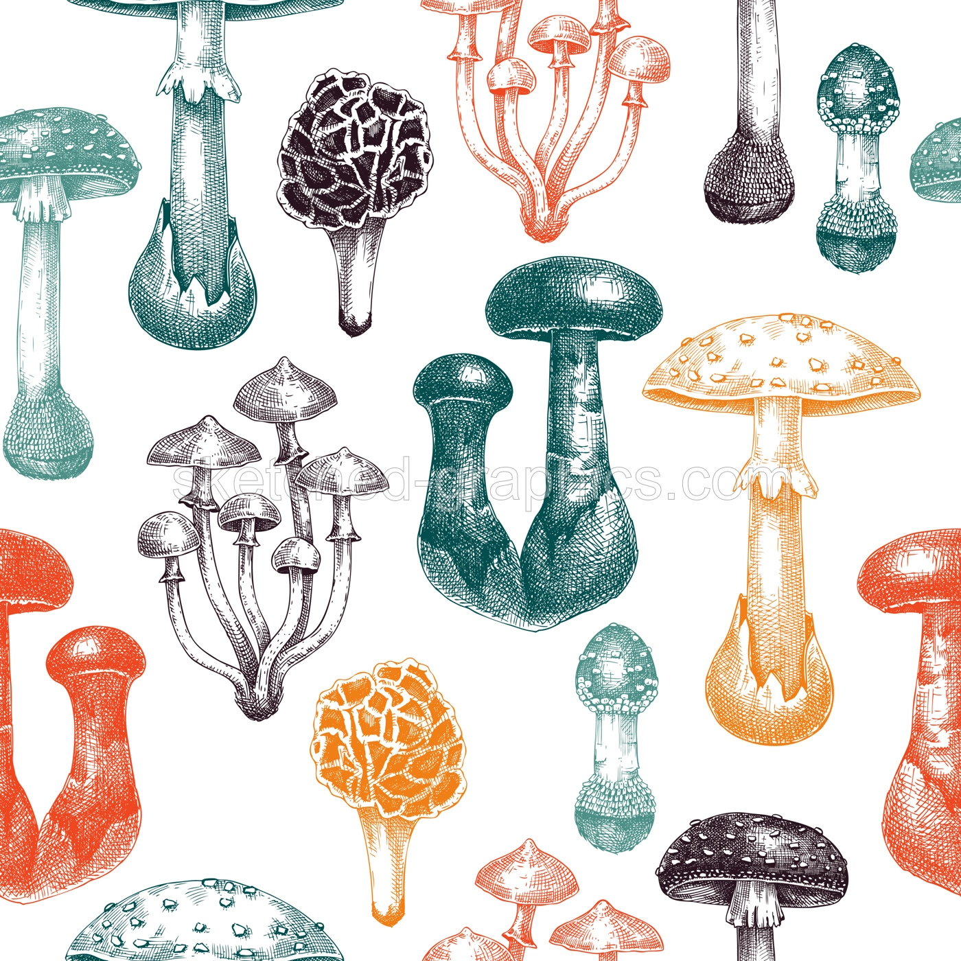 Poisonous mushrooms seamless pattern. Hand-drawn deadly fungus design. Vector forest plants background. Botanical illustrations, design elements. For packaging, print, banners, Illustration